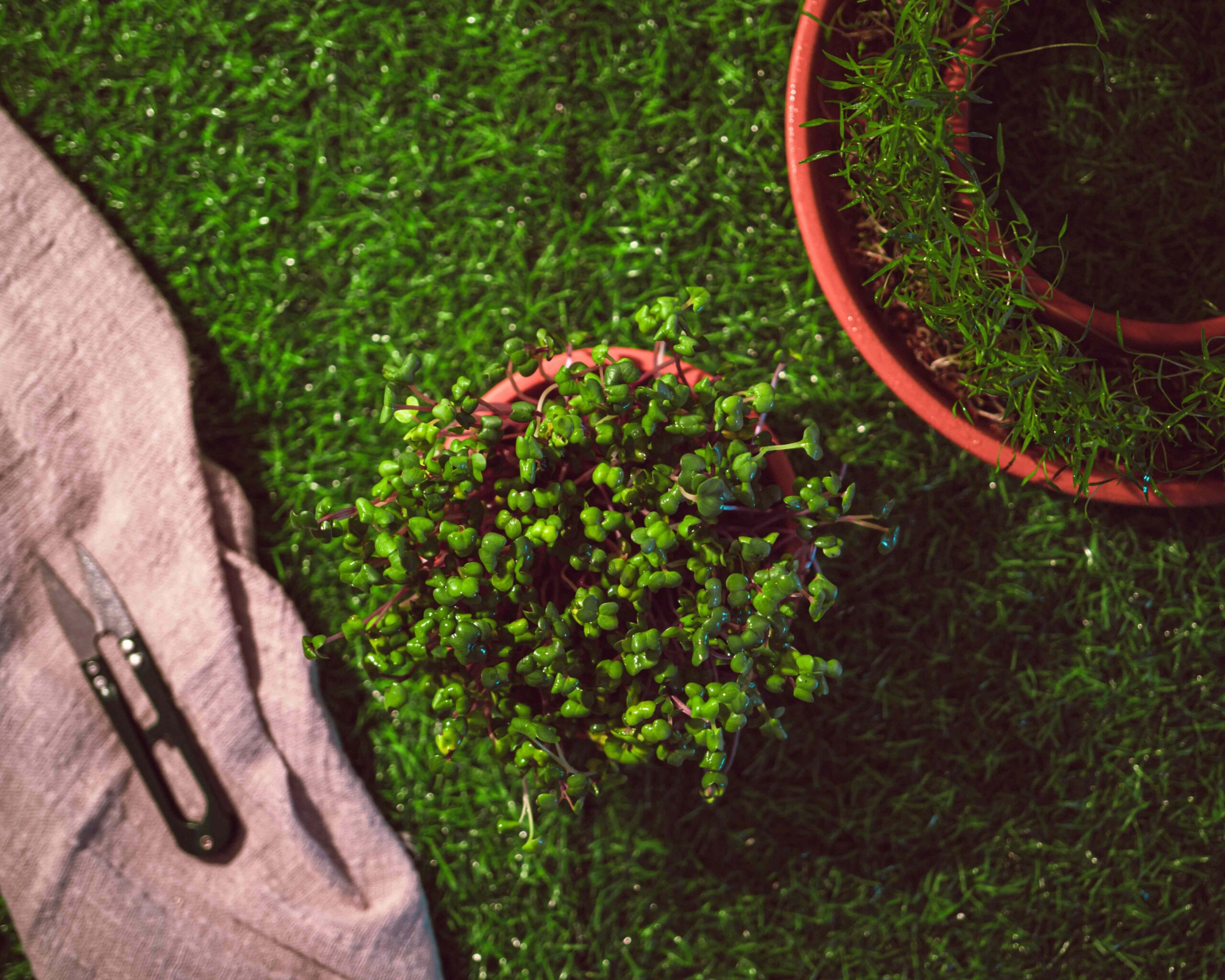 China Garden Tool Bag Manufacturers (8) China Garden Tool Bag Manufacturers