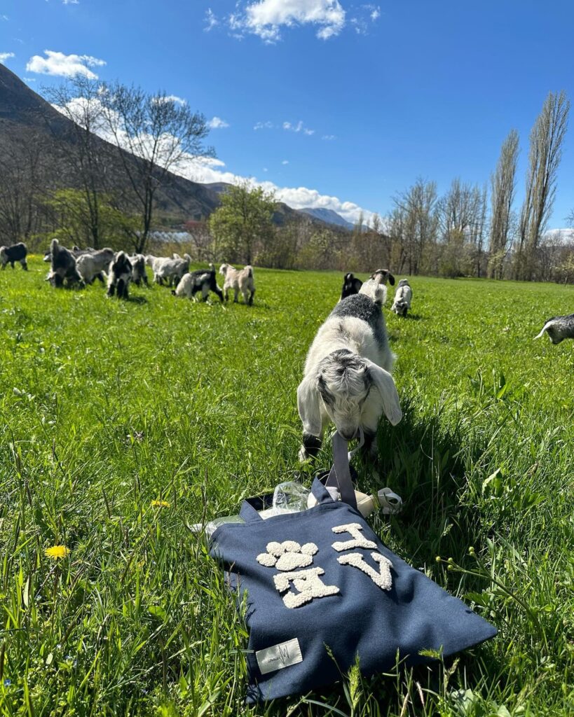 Organic Bag Manufacturers