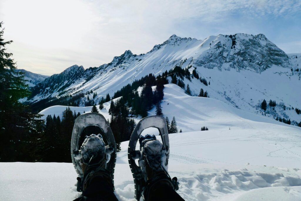 Hiihtosaappaat laukku tehtaat (4) Hiihtosaappaat laukku tehtaat