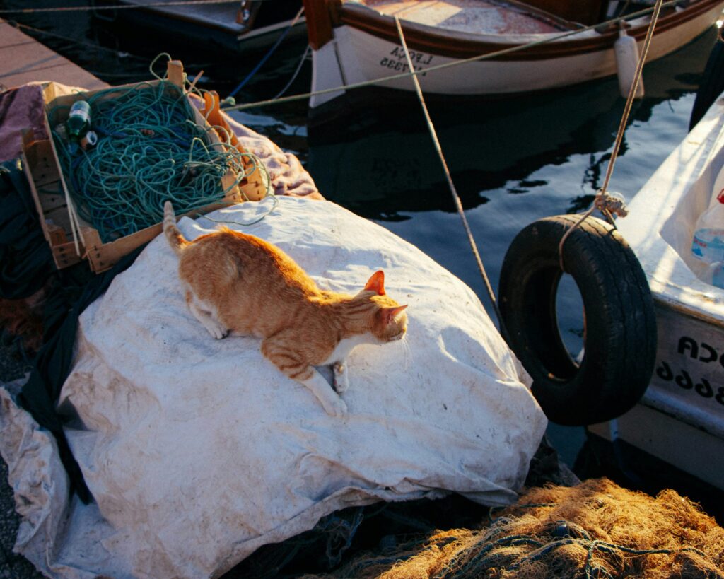 Urheilukalastuslaukkutehtaat (3) Urheilukalastus laukku tehtaat
