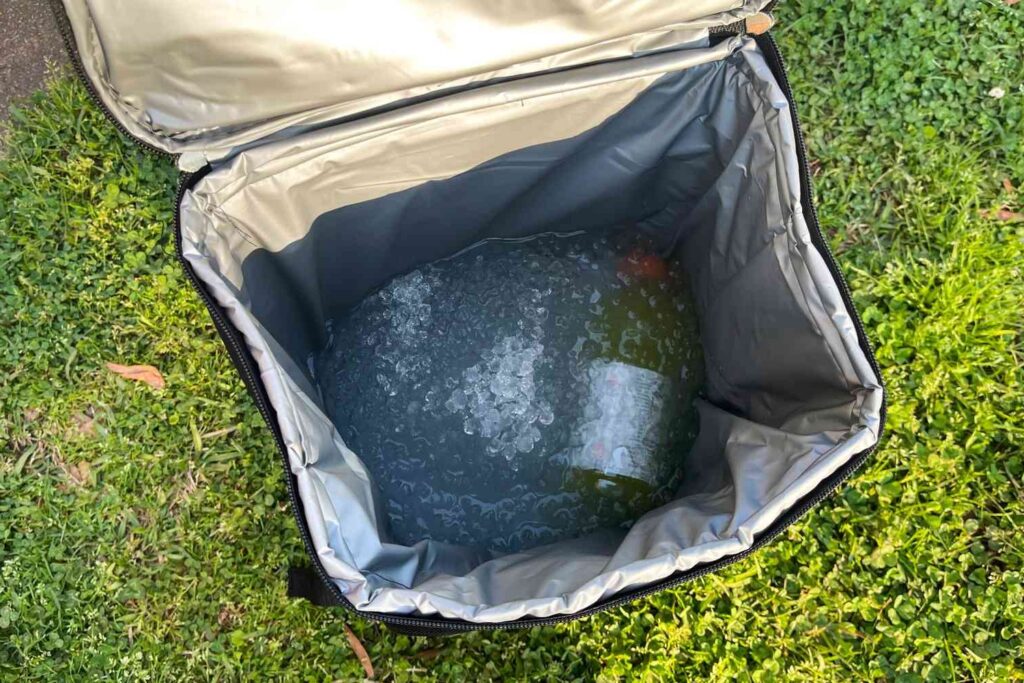 Πόσο καιρό οι μονωμένες τσάντες διατηρούν το φαγητό κρύο (5) Πόσο καιρό οι μονωμένες τσάντες διατηρούν τα τρόφιμα κρύα