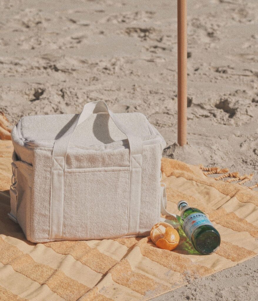 Insulated Bag vs Cooler (3)(1) Isoleret taske vs. køleboks