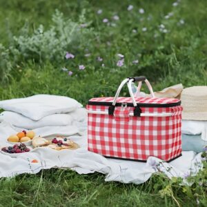 Insulated Bag vs Cooler