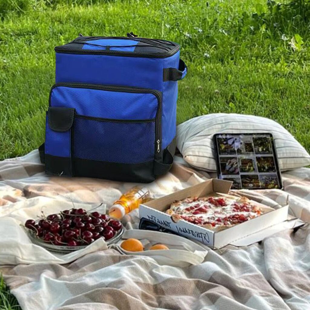 Insulated Bag vs Cooler (6) Isoleret taske vs. køleboks