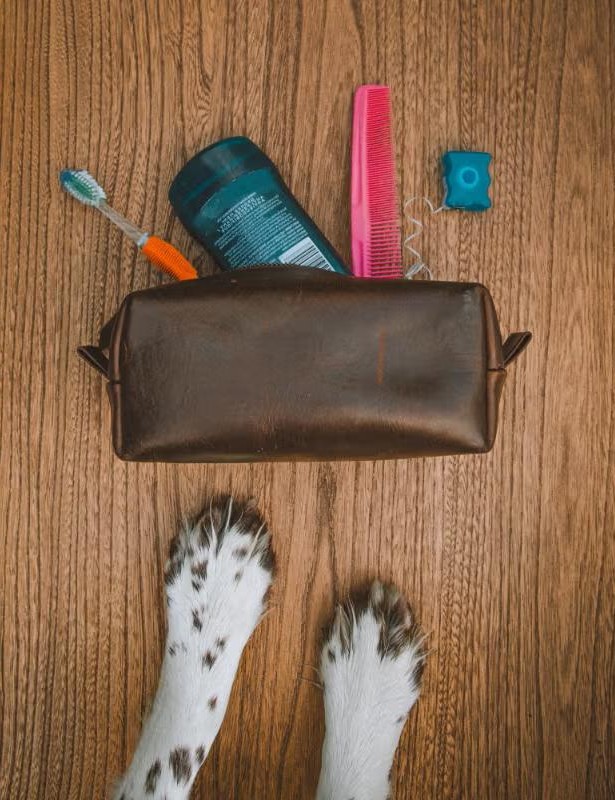 Vad kallas en sminkväska (5) Vad kallas en sminkväska