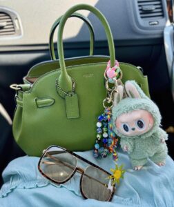 Why Coach Bags Are So Expensive